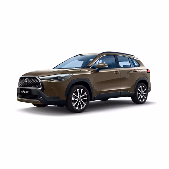 OEM Heavy Truck Part Steering Shaft Strut Auto Part